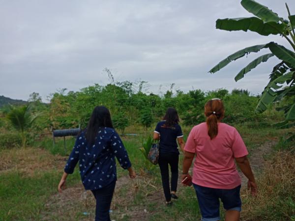 1. กิจกรรมแลกเปลี่ยนเรียนรู้การบริหารจัดการกลุ่มโดยนำหลักปรัชญาเศรษฐกิจพอเพียงไปใช้ในชีวิตประจำวัน วันที่ 9 พฤศจิกายน 2561 ณ ศาลาเอนกประสงค์ หมู่ที่ 7 ต.ท่าขุนราม อ.เมือง จ.กำแพงเพชร